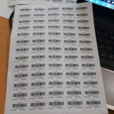 Decal A4 số 65 tem - cỡ tem 38x21mm